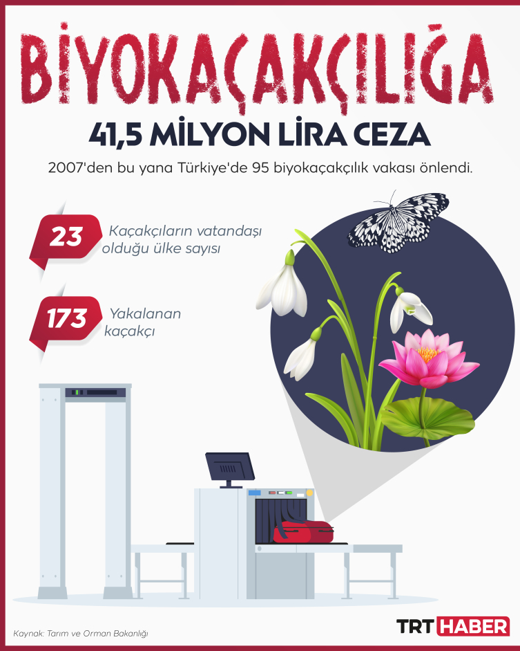 Biyolojik kaçakçılara 41,5 milyon ceza